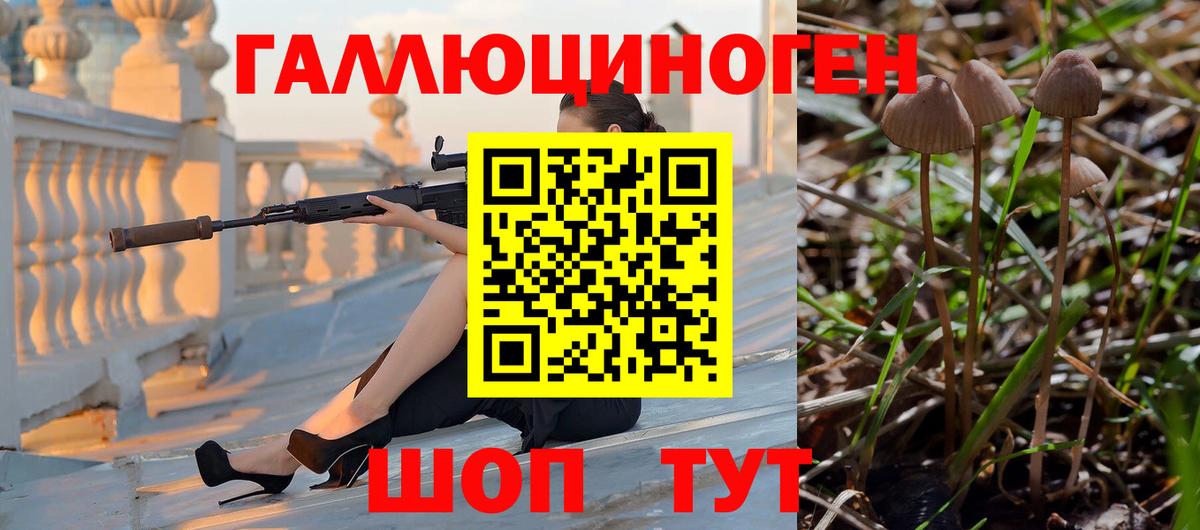 Псилоцибиновые грибы MAGIC MUSHROOMS Ачинск